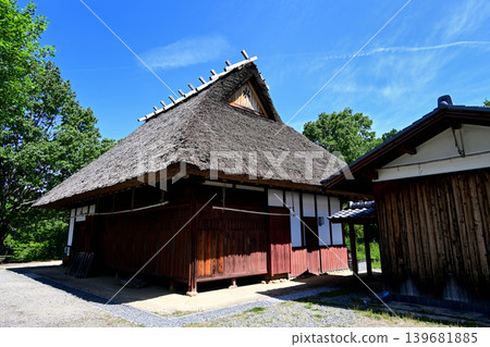 Thatched roof, blue sky 139681885