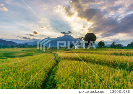 The natural beauty of the Indonesian mountains with beautiful tropical forests at sunrise 139681988