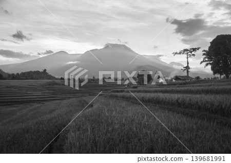 The natural beauty of the Indonesian mountains with beautiful tropical forests at sunrise 139681991