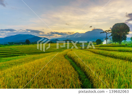 The natural beauty of the Indonesian mountains with beautiful tropical forests at sunrise The natural beauty of the Indonesian mountains with beautiful tropical forests at sunrise 139682063