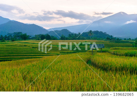 The natural beauty of the Indonesian mountains with beautiful tropical forests at sunrise The natural beauty of the Indonesian mountains with beautiful tropical forests at sunrise 139682065