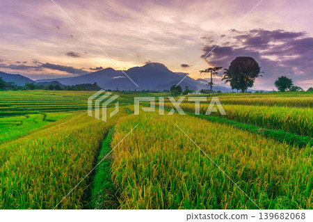The natural beauty of the Indonesian mountains with beautiful tropical forests at sunrise The natural beauty of the Indonesian mountains with beautiful tropical forests at sunrise 139682068