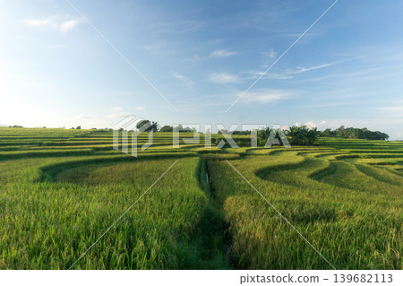 The natural beauty of the Indonesian mountains with beautiful tropical forests at sunrise 139682113