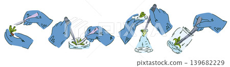 A large set of hands wearing laboratory gloves, cutting, washing, and examining plant samples, biology lab work A large set of hands wearing laboratory gloves, cutting, washing, and examining plant samples, biology lab work 139682229