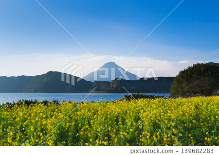 Mount Kaimon in early spring when rape blossoms are in bloom Mount Kaimon in early spring when rape blossoms are in bloom 139682283