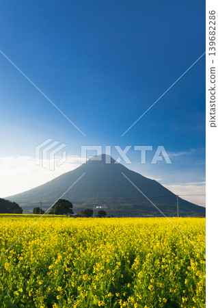Mount Kaimon in early spring when rape blossoms are in bloom Mount Kaimon in early spring when rape blossoms are in bloom 139682286