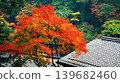 A peaceful collection of Japanese autumn landscapes featuring colorful maple trees, traditional temples, bamboo forests, and serene garden paths. These images capture the calm beauty of nature, warm 139682460