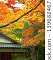 A peaceful collection of Japanese autumn landscapes featuring colorful maple trees, traditional temples, bamboo forests, and serene garden paths. These images capture the calm beauty of nature, warm 139682467