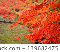 A peaceful collection of Japanese autumn landscapes featuring colorful maple trees, traditional temples, bamboo forests, and serene garden paths. These images capture the calm beauty of nature, warm 139682475