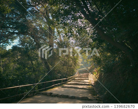 Promenade with sunshine filtering through trees Promenade with sunshine filtering through trees 139682670