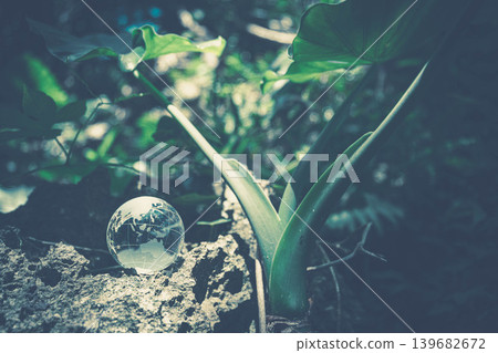 亞熱帶地區豐富的天然資源和透明的地球 亞熱帶地區豐富的天然資源和透明的地球 139682672