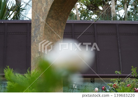 Garden archway with roses in foreground outdoor scene Garden archway with roses in foreground outdoor scene 139683220