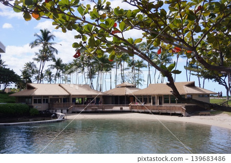 Beaches, palm trees, and resort hotels in Waikoloa, Hawaii Island. Beaches, palm trees, and resort hotels in Waikoloa, Hawaii Island. 139683486