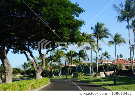 The beach, palm trees, and ocean of Waikoloa, Hawaii Island. The beach, palm trees, and ocean of Waikoloa, Hawaii Island. 139683492