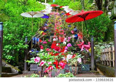 A view of the peony corridor at Hase-dera Temple 139683616