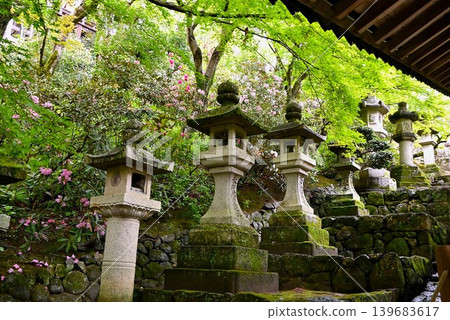 Stone lanterns in the grounds of Hase-dera Temple Stone lanterns in the grounds of Hase-dera Temple 139683617