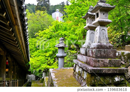長谷寺的有頂走廊和石燈籠(石塔) 長谷寺的有頂走廊和石燈籠(石塔) 139683618
