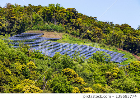 位於自然環境中的巨型太陽能發電廠，四周綠樹環繞。 139683774