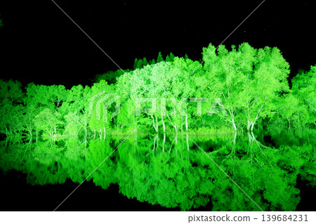 A breathtaking night view bathed in emerald green: Reflection of the submerged forest in Lake Shirakawa A breathtaking night view bathed in emerald green: Reflection of the submerged forest in Lake Shirakawa 139684231