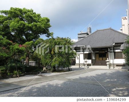隅田區寶泉寺(正殿)的紫薇樹正在盛開。 隅田區寶泉寺(正殿)的紫薇樹正在盛開。 139684299