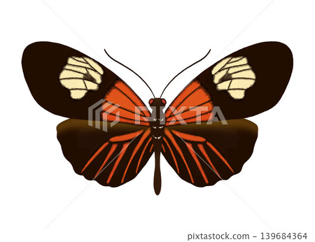 Illustration of a Red-striped Poisonous Butterfly (Aesculus scoparius) - Image - Butterfly - Clipart - Illustration - PNG Illustration of a Red-striped Poisonous Butterfly (Aesculus scoparius) - Image - Butterfly - Clipart - Illustration - PNG 139684364