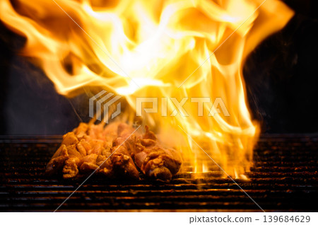Variety of  Barbecue skewers meat kebabs with vegetables on hot flaming grill 139684629