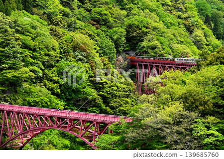 一輛有軌電車駛過一座紅色鐵橋 一輛有軌電車駛過一座紅色鐵橋 139685760