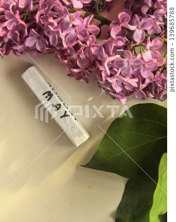 Purple Lilac Blossoms With Green Leaves And May Purple Lilac Blossoms With Green Leaves And May 139685788