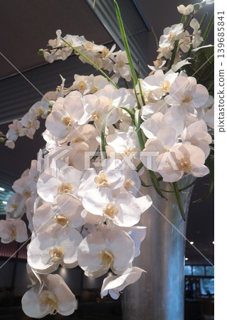 White butterfly orchid White butterfly orchid 139685841