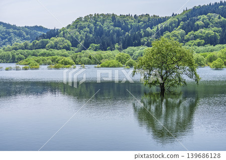 山形縣飯出町白川湖及水下森林綠意盎然 山形縣飯出町白川湖及水下森林綠意盎然 139686128