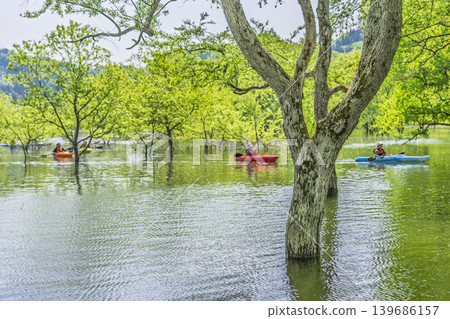 Lake Shirakawa in lush greenery and submerged forest; canoeing and the lake surface; Iide Town, Yamagata Prefecture Lake Shirakawa in lush greenery and submerged forest; canoeing and the lake surface; Iide Town, Yamagata Prefecture 139686157