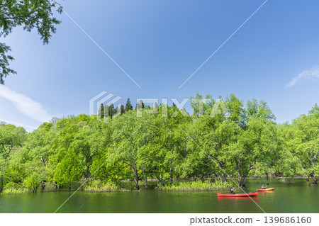 Lake Shirakawa in lush greenery and submerged forest; canoeing and the lake surface; Iide Town, Yamagata Prefecture Lake Shirakawa in lush greenery and submerged forest; canoeing and the lake surface; Iide Town, Yamagata Prefecture 139686160