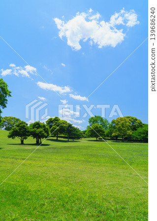 Blue sky and fresh greenery | Chiba Port Park, Chiba City, Chiba Prefecture Blue sky and fresh greenery | Chiba Port Park, Chiba City, Chiba Prefecture 139686240