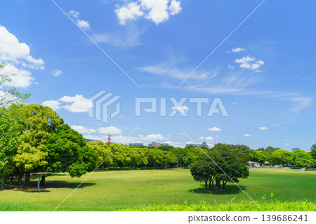 Blue sky and fresh greenery | Chiba Port Park, Chiba City, Chiba Prefecture Blue sky and fresh greenery | Chiba Port Park, Chiba City, Chiba Prefecture 139686241