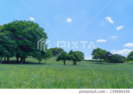 Blue sky and fresh greenery | Chiba Port Park, Chiba City, Chiba Prefecture Blue sky and fresh greenery | Chiba Port Park, Chiba City, Chiba Prefecture 139686246