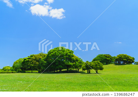 Blue sky and fresh greenery | Chiba Port Park, Chiba City, Chiba Prefecture Blue sky and fresh greenery | Chiba Port Park, Chiba City, Chiba Prefecture 139686247