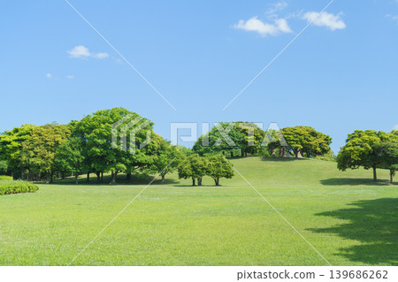 藍天綠樹 | 千葉港公園,千葉市,千葉縣 藍天綠樹 | 千葉港公園,千葉市,千葉縣 139686262