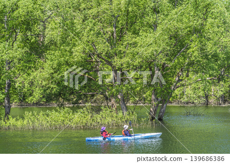 白川湖綠樹成蔭，水下森林密布；湖面上泛舟；山形縣飯出町 139686386