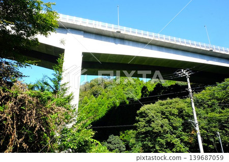 [Kanagawa Prefecture] Looking up at a bridge in the forest from below 139687059