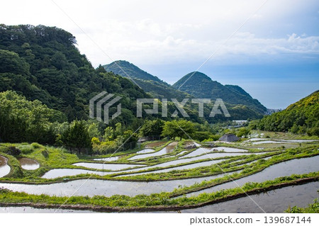 The beautiful curves of the Ishibe rice terraces The beautiful curves of the Ishibe rice terraces 139687144