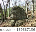 Standing stone of Hinomiya Mountain 139687156