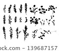 A set of vector illustrations of silhouettes of various types of eucalyptus and plant leaves. A set of vector illustrations of silhouettes of various types of eucalyptus and plant leaves. 139687157