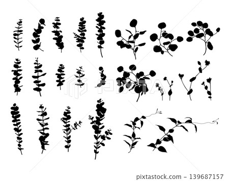 A set of vector illustrations of silhouettes of various types of eucalyptus and plant leaves. A set of vector illustrations of silhouettes of various types of eucalyptus and plant leaves. 139687157
