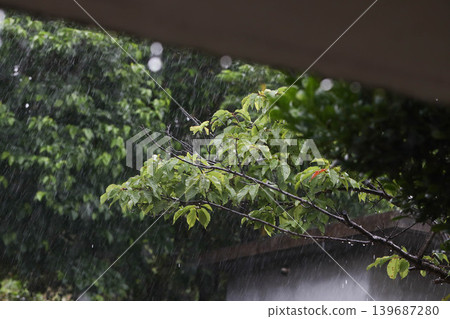 Weather rain 139687280