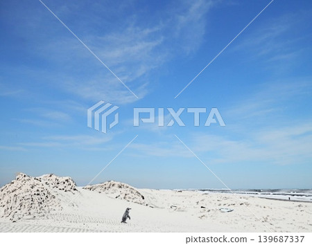 Kujukuri海灘2 139687337