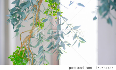 Ornamental plants on the windowsill Ornamental plants on the windowsill 139687527
