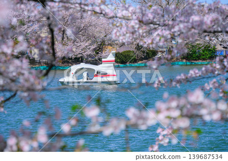 [Garyu Park] Ryugaike Pond in Spring [Suzaka City] 139687534