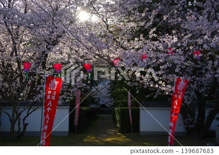 兵庫縣淡路市西念寺的櫻花 兵庫縣淡路市西念寺的櫻花 139687683