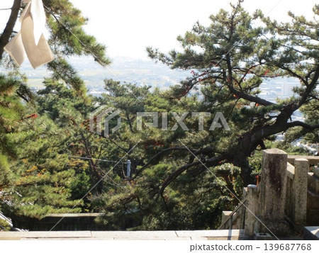 2014年,香川縣,觀音寺,八幡宮,風景,神社,琴引八幡宮,第73部分 2014年,香川縣,觀音寺,八幡宮,風景,神社,琴引八幡宮,第73部分 139687768