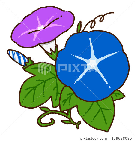 Cute hand-drawn morning glory illustration Cute hand-drawn morning glory illustration 139688080